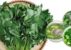 Loại rau nhiều người chê nhưng chứa nhiều sắt hơn thịt bò