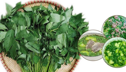 Loại rau nhiều người chê nhưng chứa nhiều sắt hơn thịt bò