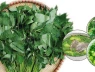 Loại rau nhiều người chê nhưng chứa nhiều sắt hơn thịt bò