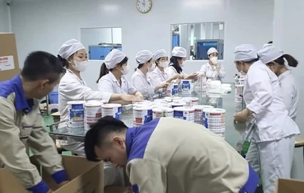 29 bị can trong vụ sản xuất, buôn bán hàng trăm nghìn hộp sữa giả dành cho trẻ sơ sinh và “bà bầu” bị truy tố