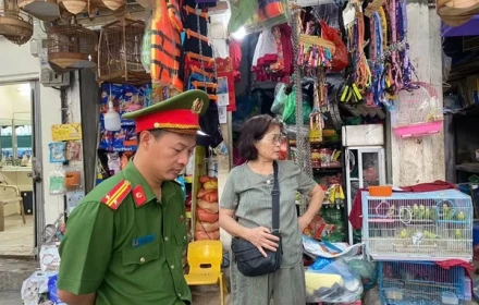 Hà Nội: Công an phường Hai Bà Trưng kiểm tra 3 hộ kinh doanh, thu giữ rất nhiều chim không rõ nguồn gốc