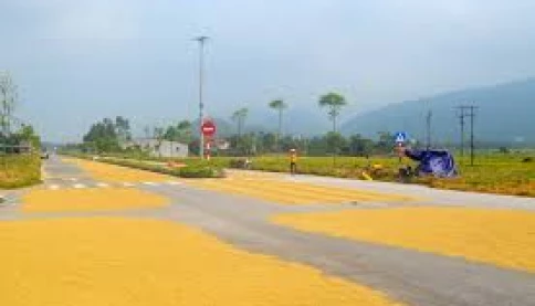 Tại sao phơi lúa, rơm rạ trên đường gây mất an toàn giao thông?