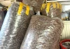 Thứ từng bị vứt đầy trong rừng nay được săn lùng gần 2 triệu/kg, dân đổ xô đi nhặt