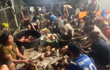 Hàng xóm tối lửa tắt đèn có nhau ‼  Hơn 100 người  làm thịt, "giải cứu" 500 con gà ngạt khí do hỏng hệ thống làm mát