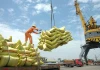 Philippines cảnh báo phạt tù tới 10 năm vì gạo, nhưng tàu hàng từ Việt Nam vẫn liên tục cập cảng