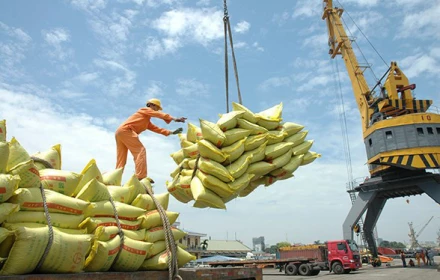 Philippines cảnh báo phạt tù tới 10 năm vì gạo, nhưng tàu hàng từ Việt Nam vẫn liên tục cập cảng