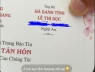 Những bức ảnh phát ra tiếng cười