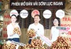 Phó chủ tịch tỉnh trực tiếp livestream bán vải thiều, chốt gần 5.000 đơn chỉ trong một ngày