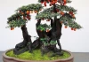Loài cây ăn quả quen thuộc ‘biến hình’ thành bonsai tiền tỷ, có người chi 900 triệu để sở hữu