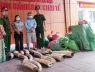 Đường dây buôn ngà voi lộ diện sau một cuộc kiểm tra bất ngờ ở Hà Nội