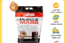 Hàng tốt, giá tốt: Sữa dinh dưỡng thể hình cho người gầy, người tập gym, người ăn mãi không béo, chọn loại nào?