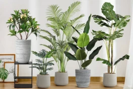 Đặt cây giả trong nhà liệu có lợi cho tâm lý hay không?