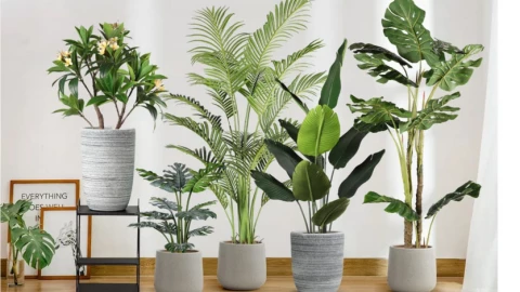 Đặt cây giả trong nhà liệu có lợi cho tâm lý hay không?