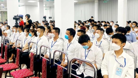 Hơn 1 triệu thanh niên Việt không việc làm, họ đang làm gì để sống