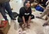 Cận cảnh nơi ở ngập rác của thanh niên nghiện ma túy, trộn "hàng" vào phân mèo để sử dụng