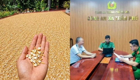 Đăng tin "thóc nổ thành bỏng" vì nắng nóng, người đàn ông bị phạt 7,5 triệu đồng