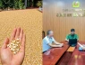 Đăng tin "thóc nổ thành bỏng" vì nắng nóng, người đàn ông bị phạt 7,5 triệu đồng