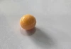 Viên ngọc trong một con ốc giác này giá 10 tỷ???