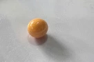 Viên ngọc trong một con ốc giác này giá 10 tỷ???