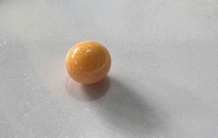 Viên ngọc trong một con ốc giác này giá 10 tỷ???