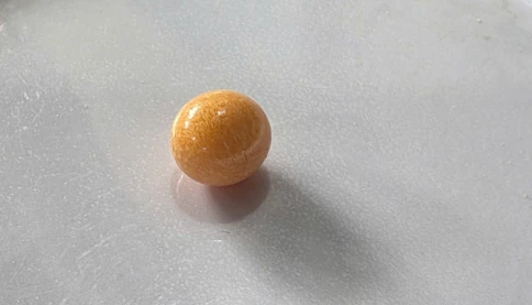 Viên ngọc trong một con ốc giác này giá 10 tỷ???