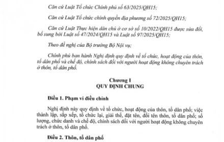 Toàn văn Nghị định 185/2026/NĐ-CP mới nhất về tổ chức, hoạt động của thôn, tổ dân phố; chính sách với người hoạt động không chuyên trách