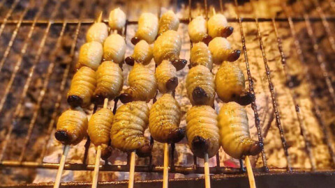 Món ăn đặc sản Bến Tre giàu dinh dưỡng nhưng không phải ai cũng ăn được