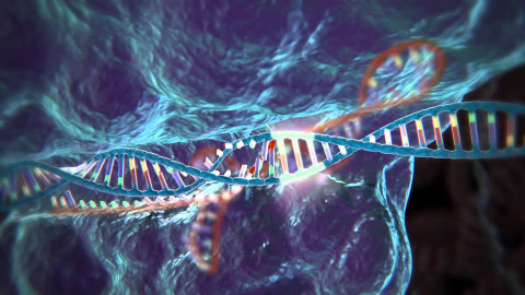 Hệ miễn dịch con người có thể đang "miễn nhiễm" với công nghệ chỉnh sửa gen CRISPR