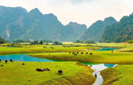 Chỉ cách Hà Nội 100 km, có một "ốc đảo" giữa núi đá với khí hậu mát mẻ quanh năm