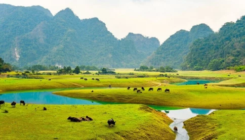 Chỉ cách Hà Nội 100 km, có một "ốc đảo" giữa núi đá với khí hậu mát mẻ quanh năm