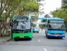 Hà Nội tung gói hỗ trợ giao thông xanh: Miễn vé xe buýt, trợ cấp đổi xe tới 20 triệu đồng