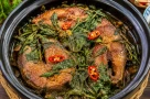 Loại cây mọc đầy bờ bụi, từng làm hàng rào nay thành đặc sản và vị thuốc quý
