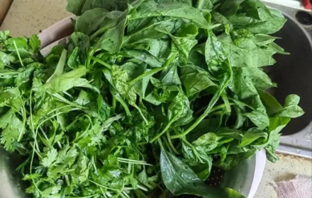 Loại rau được mệnh danh là "rau trường thọ", giàu axit folic hơn táo hàng chục lần, giá lại rất rẻ