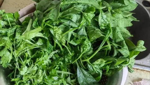 Loại rau được mệnh danh là "rau trường thọ", giàu axit folic hơn táo hàng chục lần, giá lại rất rẻ