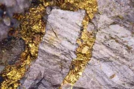 Việt Nam vừa phát hiện thêm 12 mỏ vàng tiềm năng với trữ lượng hơn 10 tấn