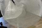 Cách du học sinh Việt tại Pháp, Đức vượt qua cái nóng kinh khủng của mùa hè