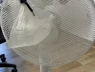 Cách du học sinh Việt tại Pháp, Đức vượt qua cái nóng kinh khủng của mùa hè
