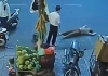 Diễn biến mới vụ người phụ nữ bị xô ngã bất tỉnh ở Buôn Ma Thuột