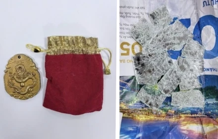 Hồ sơ vụ án: Nữ đại gia chi chục tỷ săn ‘báu vật vũ trụ’, nhận ngay kết đắng