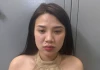 Bắt giữ Lý Phương Thảo 2k6 tội môi giới mại d.âm