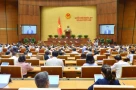 Vì sao phải khẩn trương trình Chính phủ các dự án Luật Đô thị đặc biệt, Luật Đất đai sửa đổi?