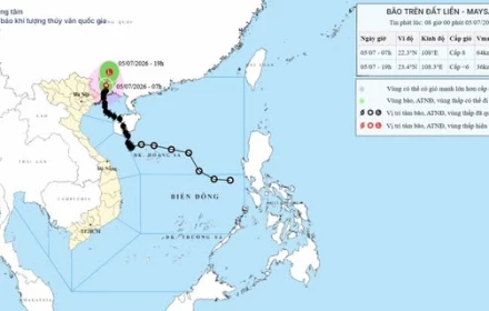 Bão số 1 suy yếu sau khi càn quét Quảng Ninh: Móng Cái tan hoang vì gió giật, mưa lớn và mất điện suốt đêm