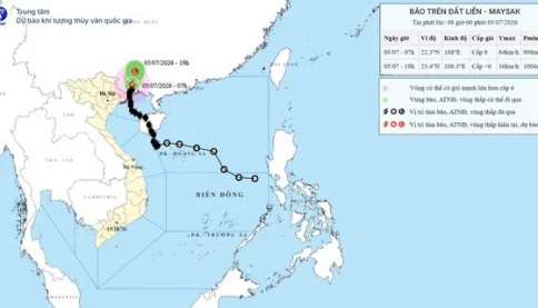 Bão số 1 suy yếu sau khi càn quét Quảng Ninh: Móng Cái tan hoang vì gió giật, mưa lớn và mất điện suốt đêm