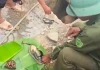Đã tìm được danh tính nạn nhân trong vụ phát hiện hộp sọ bên mương nước ở Nghệ An