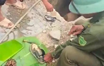 Đã tìm được danh tính nạn nhân trong vụ phát hiện hộp sọ bên mương nước ở Nghệ An