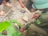 Đã tìm được danh tính nạn nhân trong vụ phát hiện hộp sọ bên mương nước ở Nghệ An