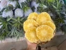 Dứa mật Pu Lau gây sốt trên chợ mạng, giá chỉ từ 35.000 đồng/kg