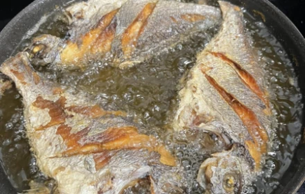 Loài cá ít xương, không tanh, chế biến kiểu gì cũng ngon người già trẻ em đều thích