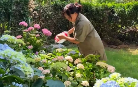 Sống đến 70 tuổi mà vẫn còn giữ được 5 điều này thì còn hiếm hơn cả trúng xổ số. Bạn đang có được bao nhiêu?