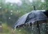 Chữ số cuối trong ngày sinh âm lịch tiết lộ điều gì về bạn?